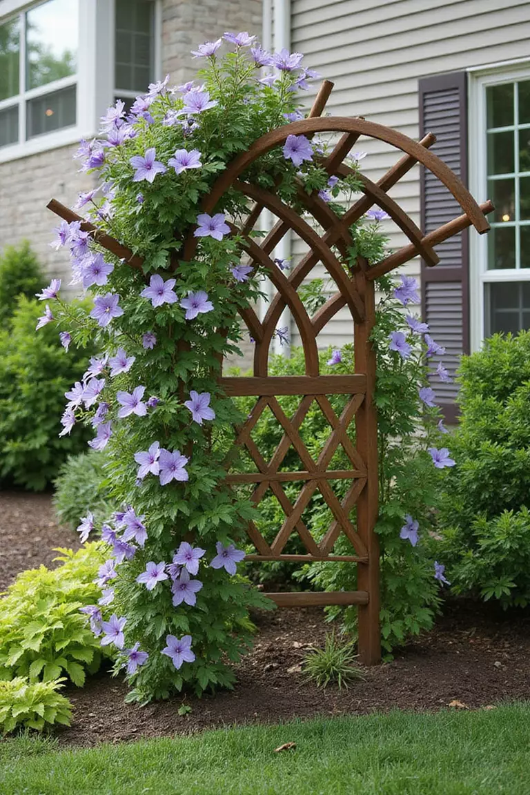 A close-up photo of a typical American home's garden featuring a fan-shaped wooden trellis with climbing clematis, spreading outward from a central point.