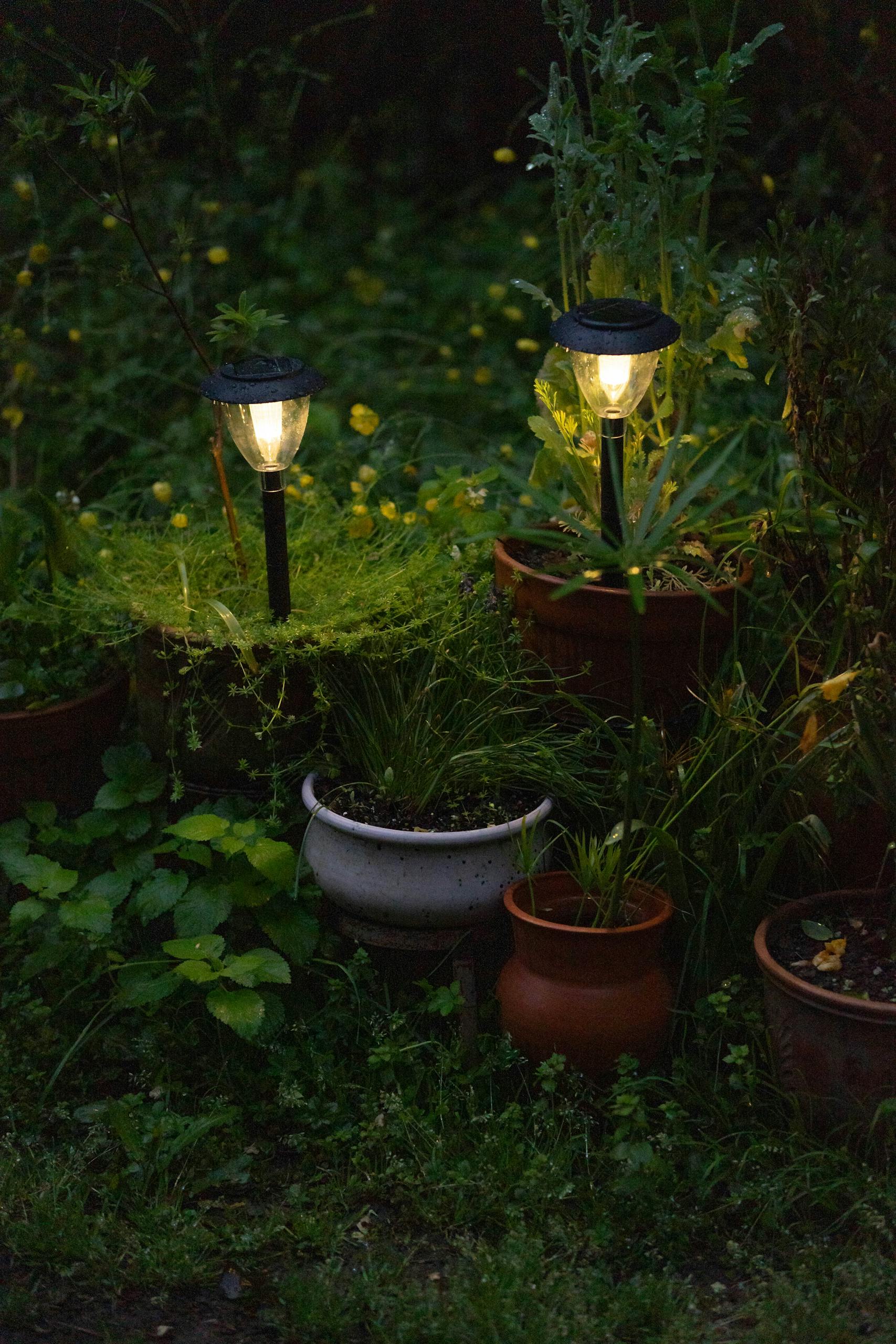 Warm garden lights glow among potted plants, creating a serene evening ambiance.