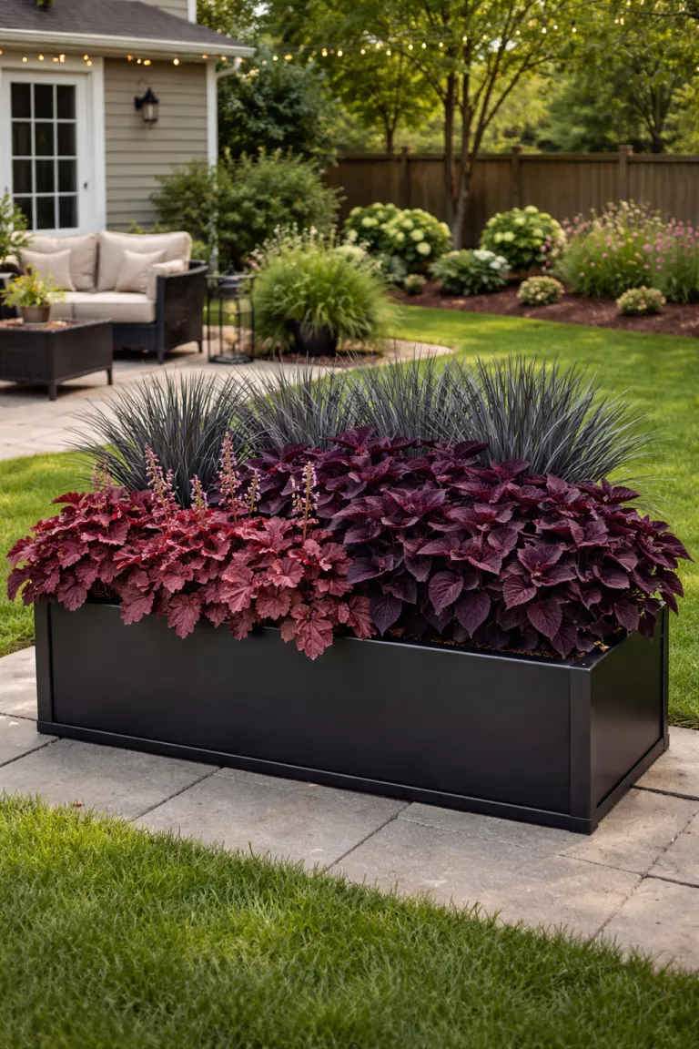 A realistic photo of a typical American home's backyard featuring a garden bed with deep burgundy heuchera, dark purple coleus, and charcoal gray ornamental grasses set in a black metal planter box.